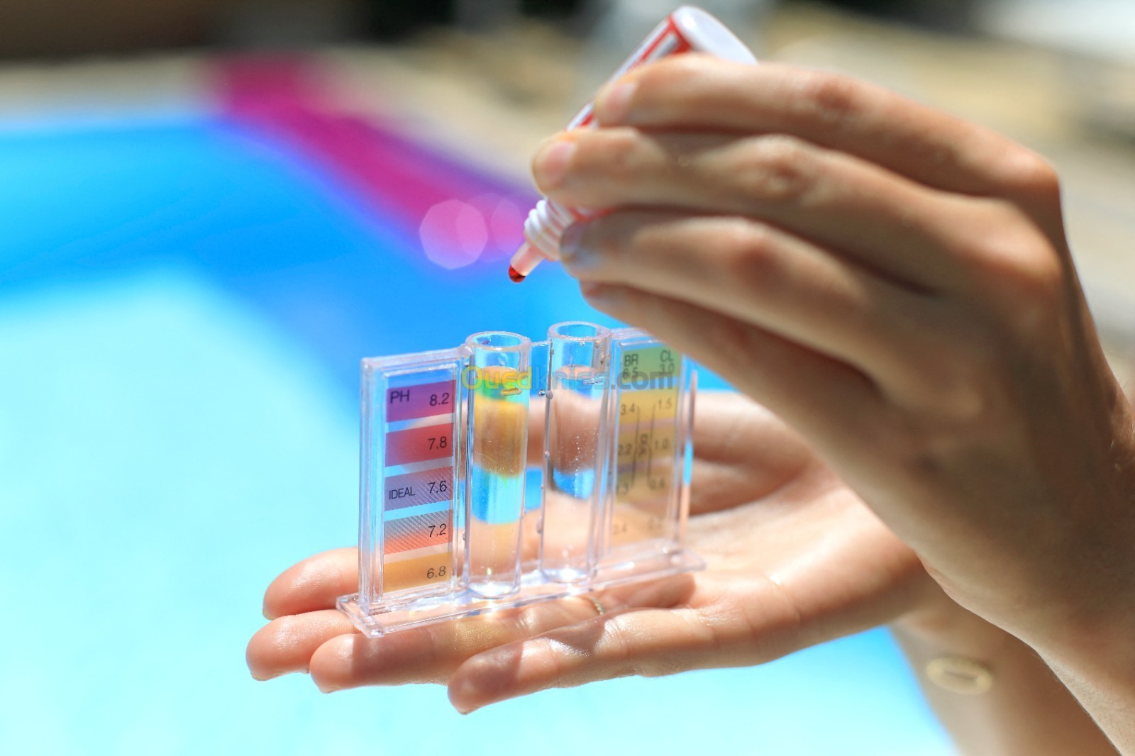 معالجة مياه المسابح