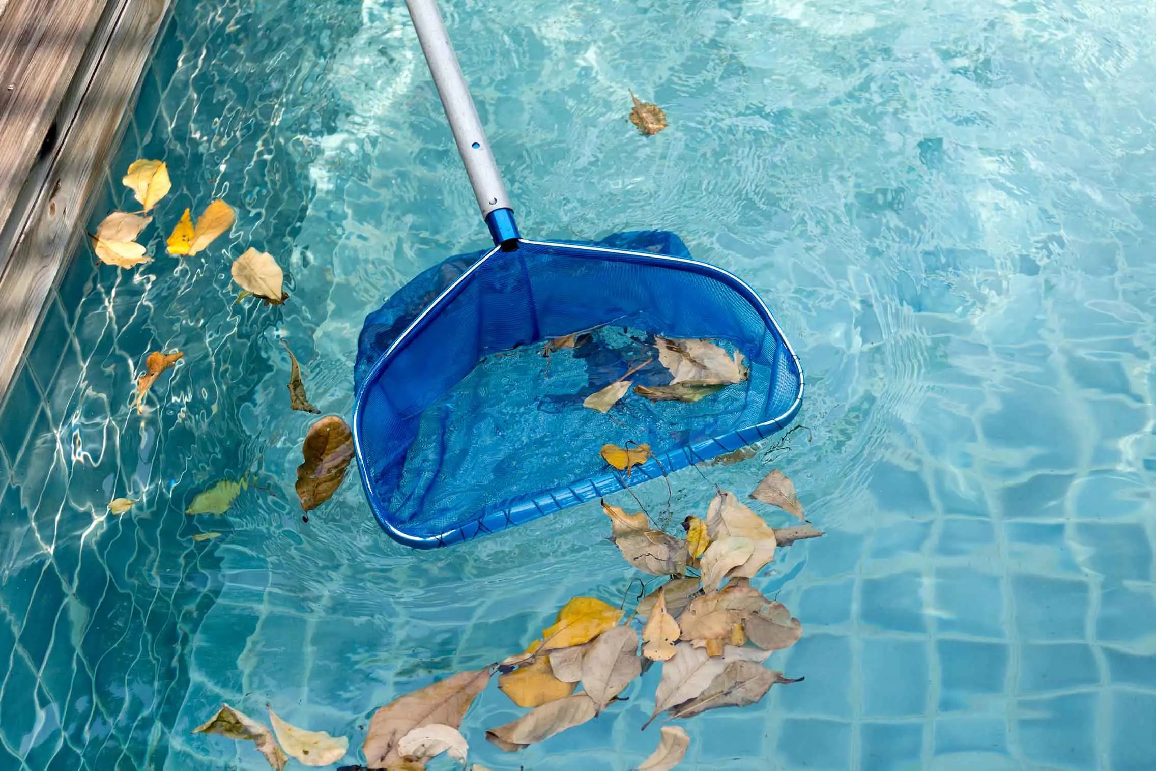 صيانة وتنقية مياه المسابح صيانة وتنقية مياه المسابح