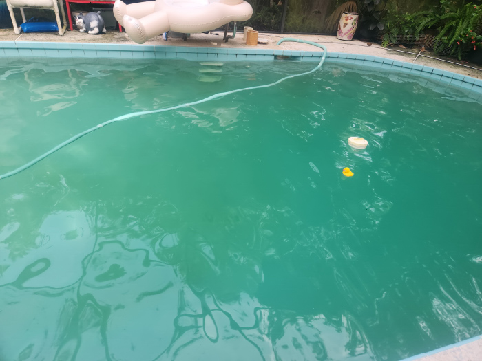 مشاكل المسابح المبكرة